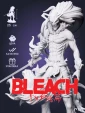 Ичиго Ichigo Arrancar из аниме Блич Bleach под покрас 25 см